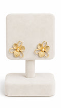 Boucles Adriane
