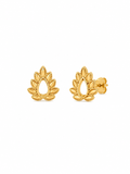 Boucles Vices